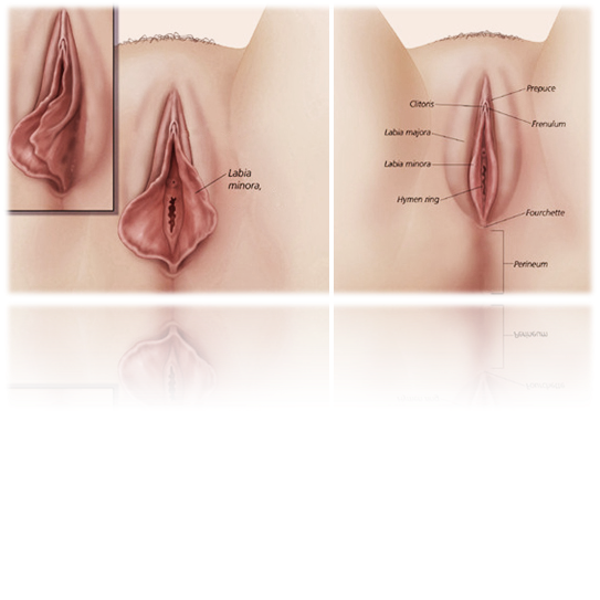 Cosmetic Gynaecology surgeon in Mumbai